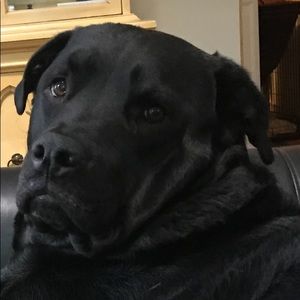 Meet your Posher, Mary